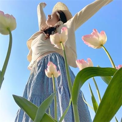 神勇飞虎霸王花